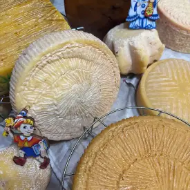 Полутвердый сыр